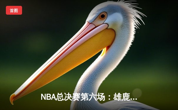 NBA总决赛第六场：雄鹿加时险胜篮网，字母哥狂砍40分带队挺进抢七