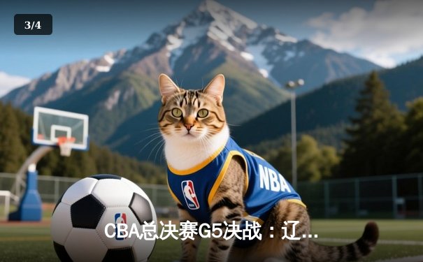 CBA总决赛G5决战：辽宁本钢力克浙江广厦，成功卫冕总冠军 - 3