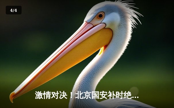 激情对决！北京国安补时绝平山东泰山 中超榜首大战上演进球盛宴 - 4